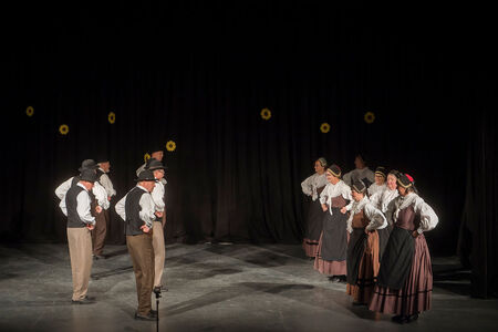 Maroltovo srečanje znova združilo koroške folklorne skupine (14)